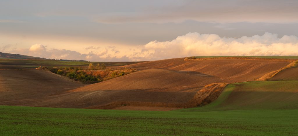 DSC09163