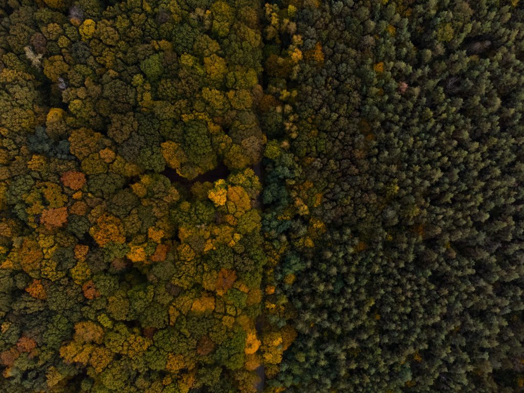 DJI_0047