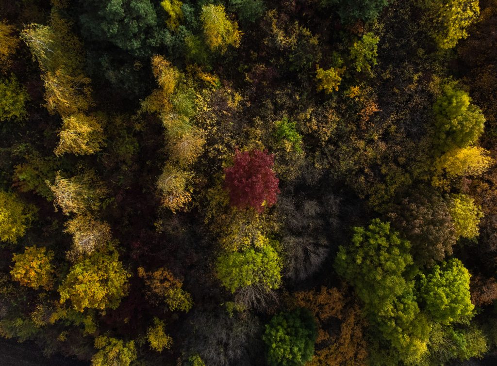 DJI_0932