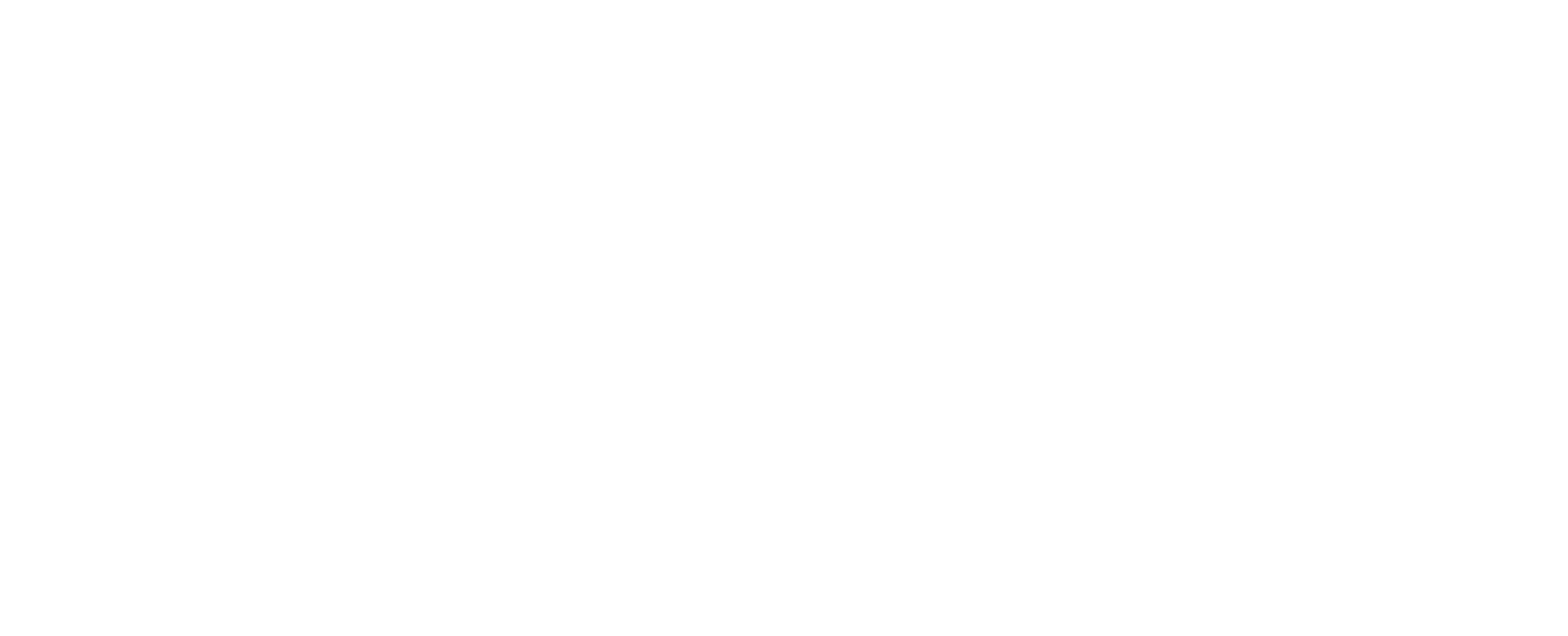 FOTO VIDEO STORITVE l SNK